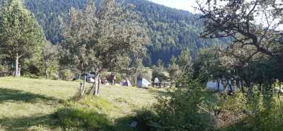 Abant Tabiat Parkı kamp ve karavan alanı
